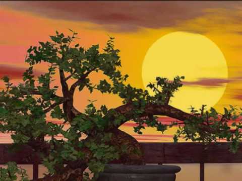 The Beatles-Within You Without You