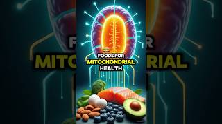 Top 10 Foods for Mitochondrial Health & Energy Boost #health #wellness
