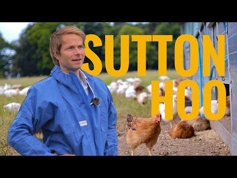 Why These Free-Range Chickens Taste Better Than Supermarket "Free-Range" Poultry | Herd Field Trip