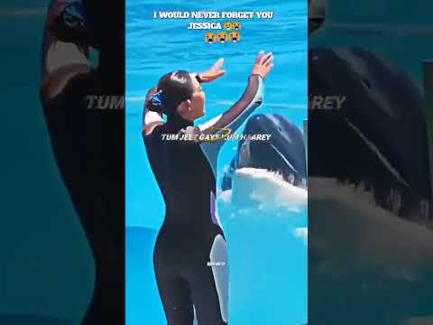 😱 Jessica ka Dolphin Wala Scene – Kya Ye Uski Aakhri Video Thi?#JessicaIncident