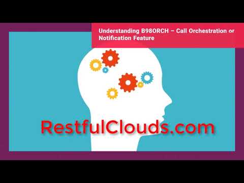 Understanding B98ORCH - Call Orchestration or Notification Feature