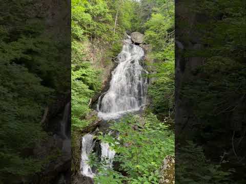 Crystal Cascades, Pinkham Notch, NH 7/5/24