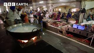 Busy Cities Of The World | BBC Earth Explore | BBC Studios