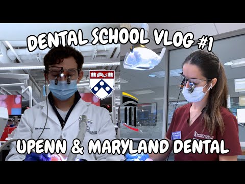 Dental School VLOG #1 | Implants, Drilling, Fillings, etc!