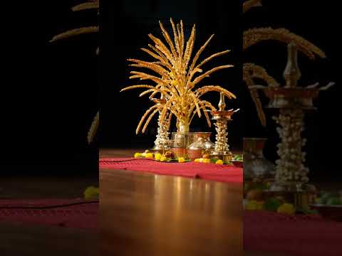wedding #entertainment #happy #trending