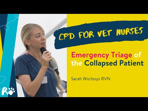 2  - Emergency Triage of the Collapsed Patient with Sarah Worboys RVN  - CPD