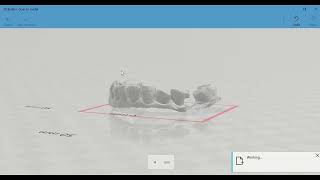 How to Convert an intraoral scan to model