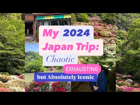 My 2024 Japan Trip: Chaotic, Exhausting, but Absolutely Iconic