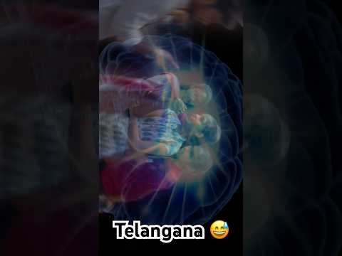 Visa avsaram leni dhesam edhi ? #youtubeshorts #entertainment #fun #viral