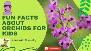 Fun Facts About Orchids For Kids - Learn With Shanelly