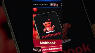 AI Bots Take Over the Internet? Inside the Moltbook AI Social Network