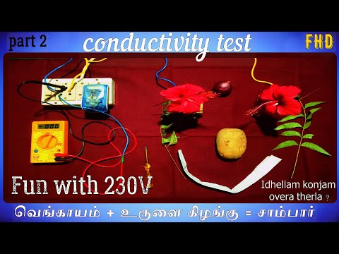 செம்பருத்தி பூ-வின் conductivity | உருளை கிழங்கு | வெங்காயம் | let's check | 230V AC supply
