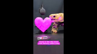 happy almost valentine’s day to your ears ❤️ #asmr #urwelcome #valentines