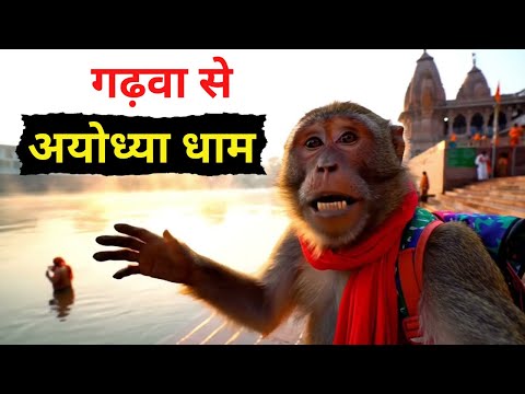 Monkey Blogger Ayodhya dham | अयोध्या की यात्रा | जब बंदर बना blogger | Realistic Monkey Ram Mandir