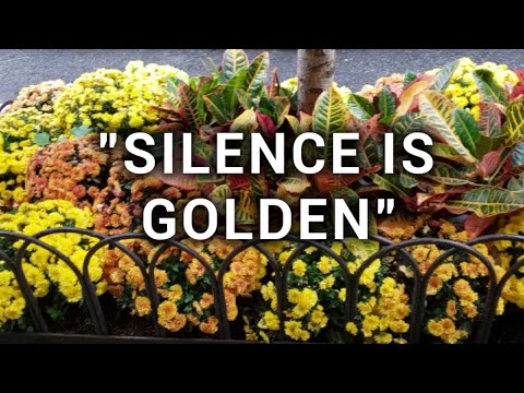 "SILENCE IS GOLDEN" (Video No. 42)