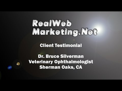 Dr.  Bruce Silverman Testimonial - Real Web Marketing