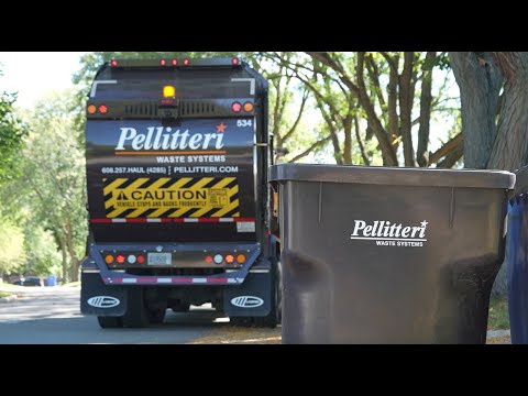 NEW: We Are Pellitteri