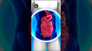 "Scientists Call It the Second Brain – Here’s Why!" #sciencefacts