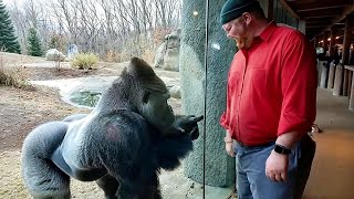 The Funniest Animals On The Internet 😂 NEW Funny Animal Videos 2026!