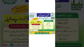 Maryam Nawaz Internship Program | Eligibility, Apply Now – Rs. 60,000 Monthly