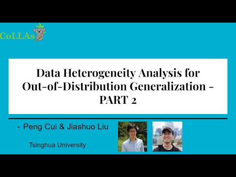 Data Heterogeneity Analysis for Out-of-Distribution Generalization - CoLLAs 2024 - PART 2