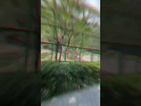 Trip Of Bankers || Udaipur Day 2 Vlog || #bankofficer #motivation #sbi #sidbi #ssc