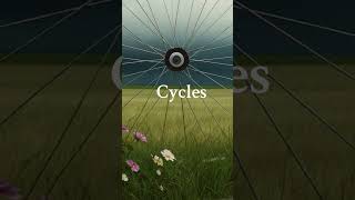 Cycles