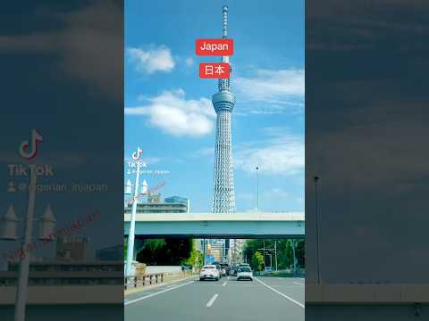 Japan 日本#lifelately #nigerianinjapan #lifeinjapan #japan #japantravel  #歌ってみた #アニメ #クレヨンしんちゃん #踊ってみた