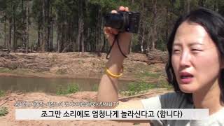 #라오스댐 사고 1년, 끝나지 않은 비극💧