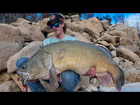 Chasing big murray cod in gorge country. (Fishing Australia).