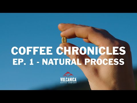 Unraveling the Magic of Natural Process Coffee - Exploring Las Mercedes Coffee Farm in Costa Rica