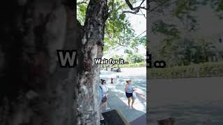 FPV crash 💥 #fpv #fpvpilot #fpvdrone #fpvlife