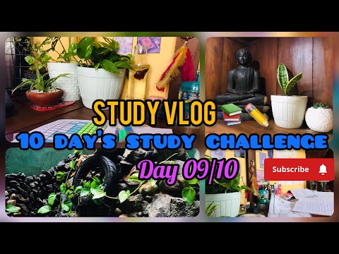 10 day’s study challenge එකේ day 09/10 📚✏️ challenge එකේ දවස් 10 ගත වුනා දැනුනේ වත් නැතුව 🥲💗 #viral