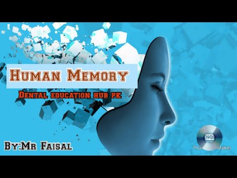 Human Memory/Psychology/Behaviour Sciences