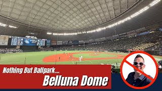 Nothing But Ballpark!  Belluna Dome - Home Of The Seibu Lions