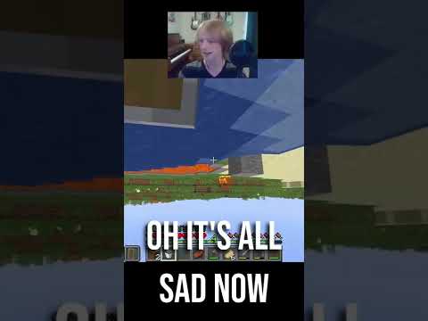 Speedrunning Minecraft Upside Down