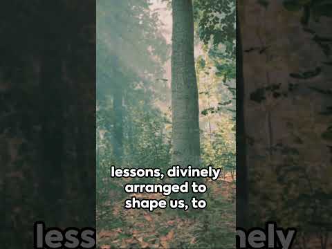 Embrace Stoicism: Finding Strength in Adversity