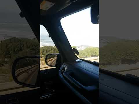 driving in Cape Town#funny#enjoyable #motivation