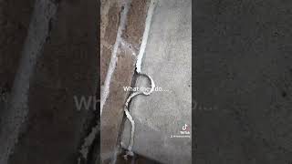 Concrete sealing! #trending #viral #diy #work #caulking #window #door #reel #tiktok #youtub #fb