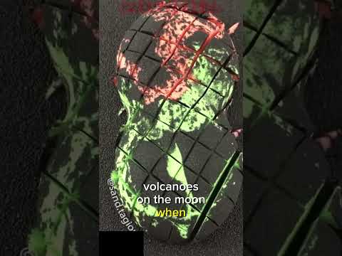 #randomfacts #asmr #newvideo #trendingyoutube #trending #knowledge #science #shorts #youtube