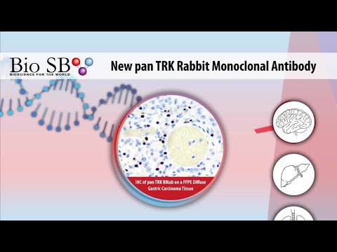 Bio SB - 2020 New pan TRK Antibody for IHC