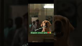 #movie #charlie777 #yt_shorts #dog_features #dogshorts #dogemotions #doglover #moviereview #watch