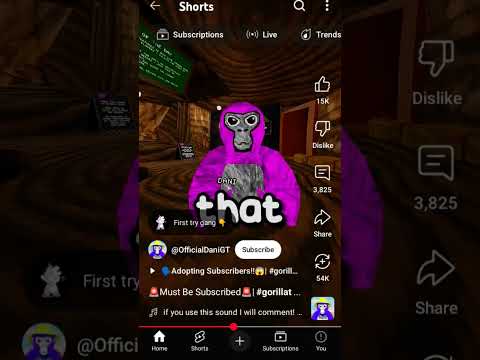 #gorillatag #gorillatagquest #vr #gtag #monkey