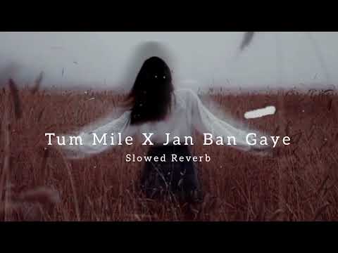 Tum mile❤️ x Jan Ban Gaye❤️(lofi~Remix)❤️-Slowed and❤️ Reverb❤️ | HRS LOFI