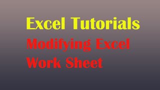 How to Modify Data/Worksheet In Microsoft Excel in Hindi/Urdu ||2013 2016