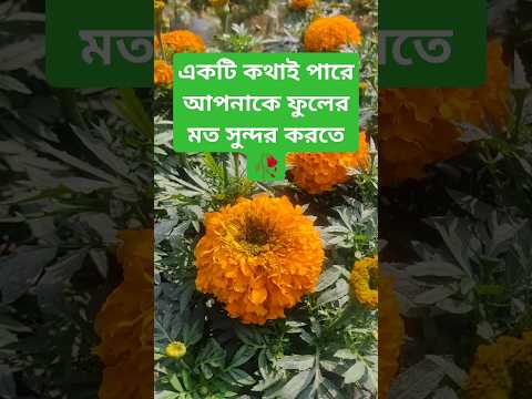 💵 ৭.৫ কোটি টাকার টিপস।।। 💲💲💲 #rosebelkhan #millionaire #billionaire