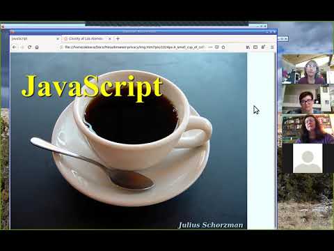 Browser Privacy: Cookies and Tracking and Scripts, Oh My!