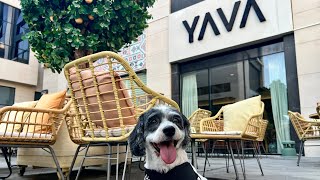 Video 205 - Yava