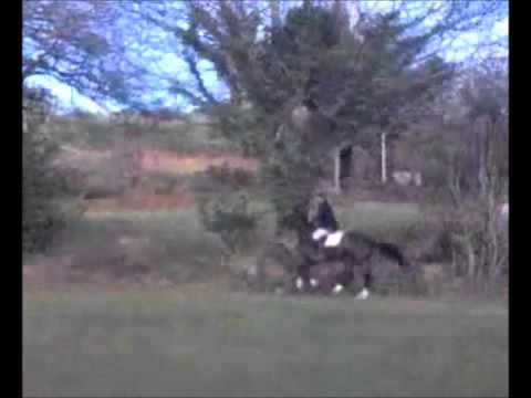 Hunting Champ & Atreus