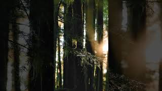 You’re Doing Better Than You Think💪    #MindReset  #Motivation #giveyourselfmorecredit